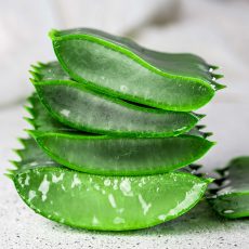aloe-vera-sliced-gray-on-white-background-FVMB3UU.jpg aloe-vera-sliced-gray-on-white-background-FVMB3UU.jpg